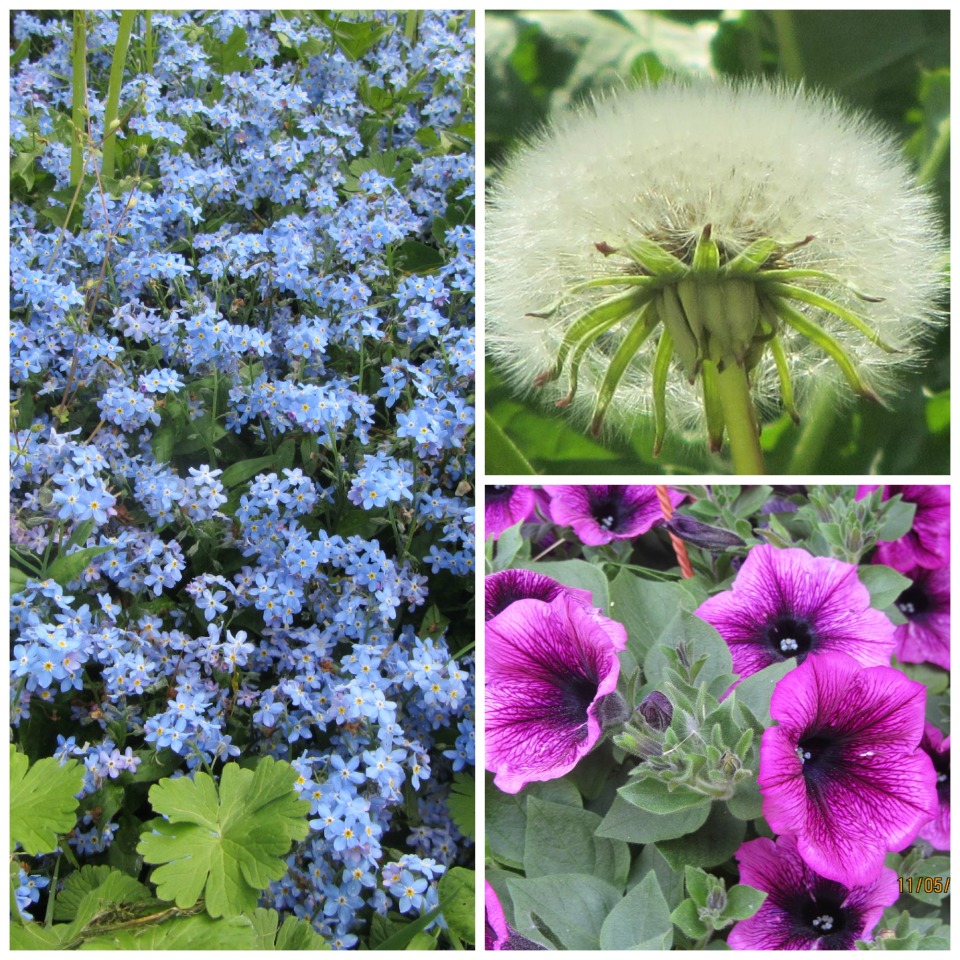 Ayurveda im Parkschlösscchen