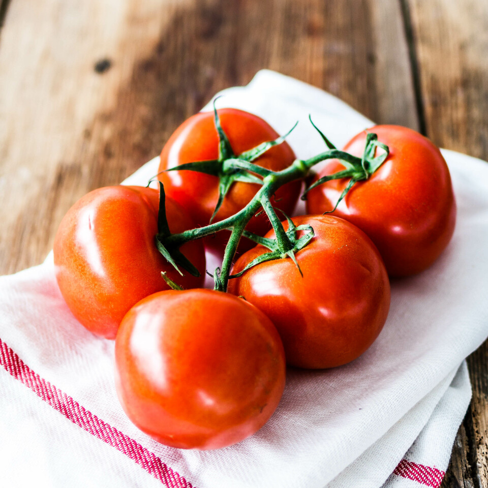 Eat this! Strauchtomaten