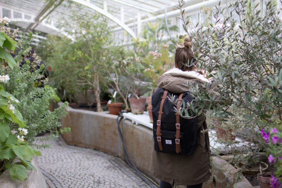 Botansicher Garten-3