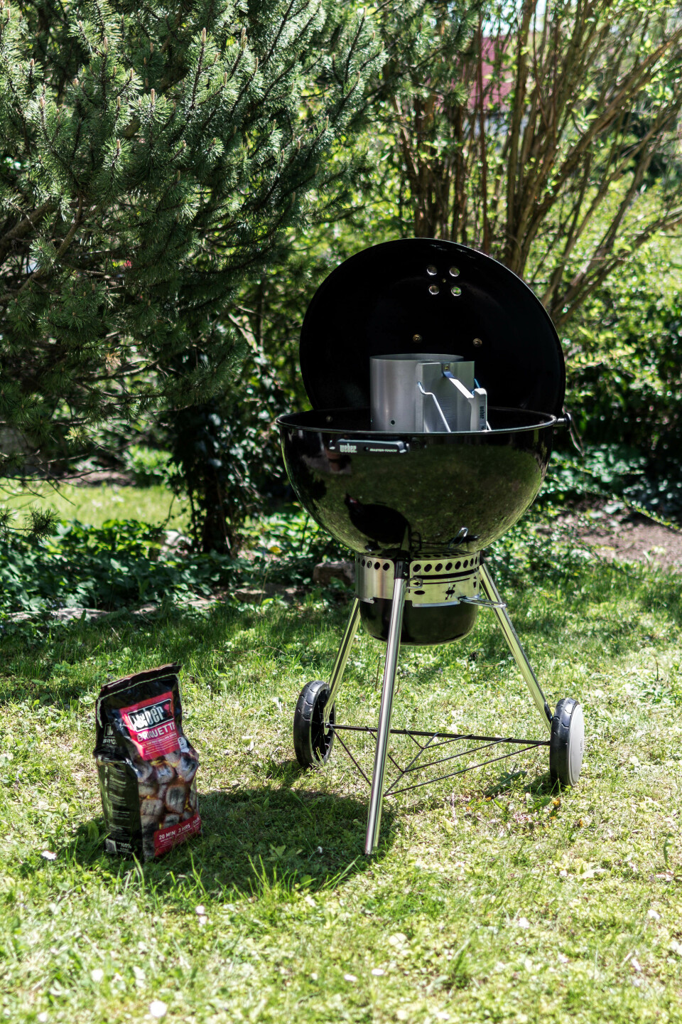 Weber Master-Touch GBS