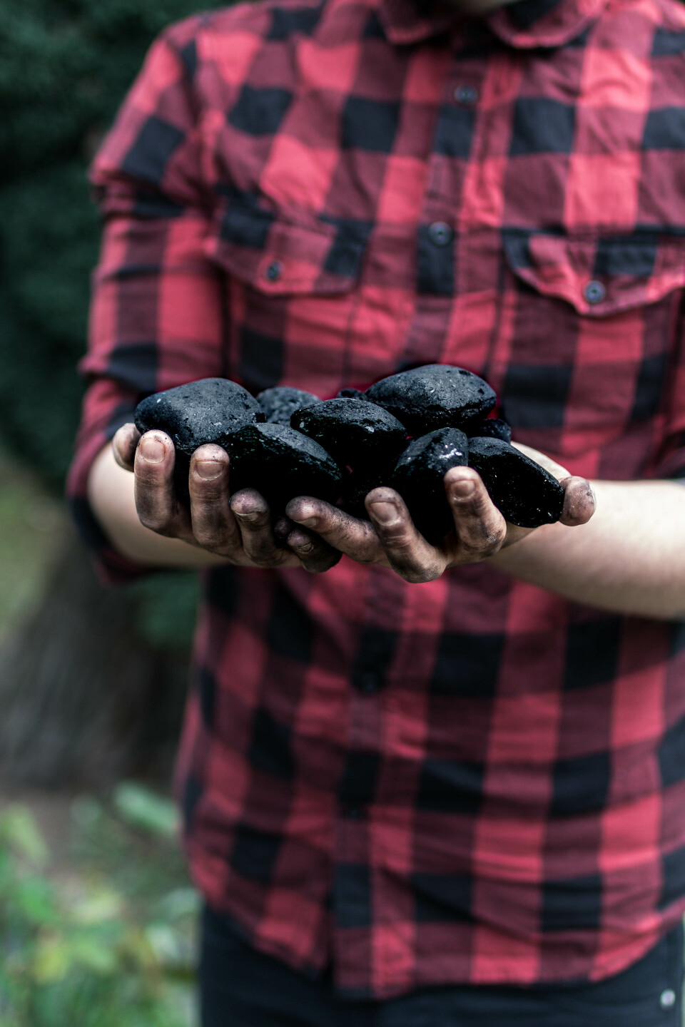 Grillkohle oder Briketts