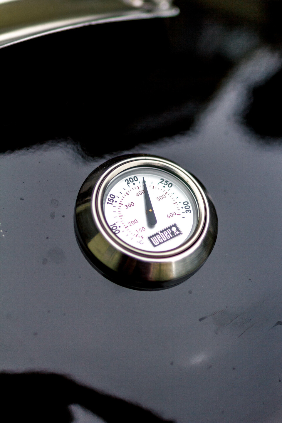 Weber Thermometer