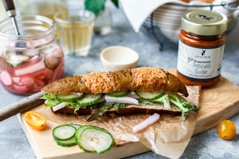 Vegane überbackene Dinkel-Laugenstangen mit Vollkorn