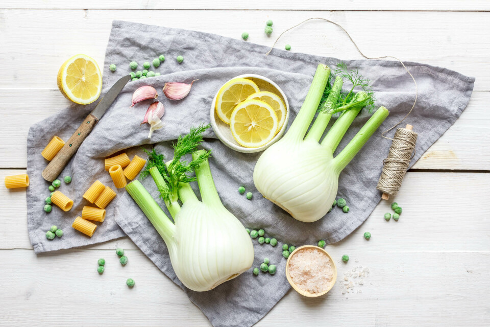 Rigatoni mit geröstetem Zitronenfenchel