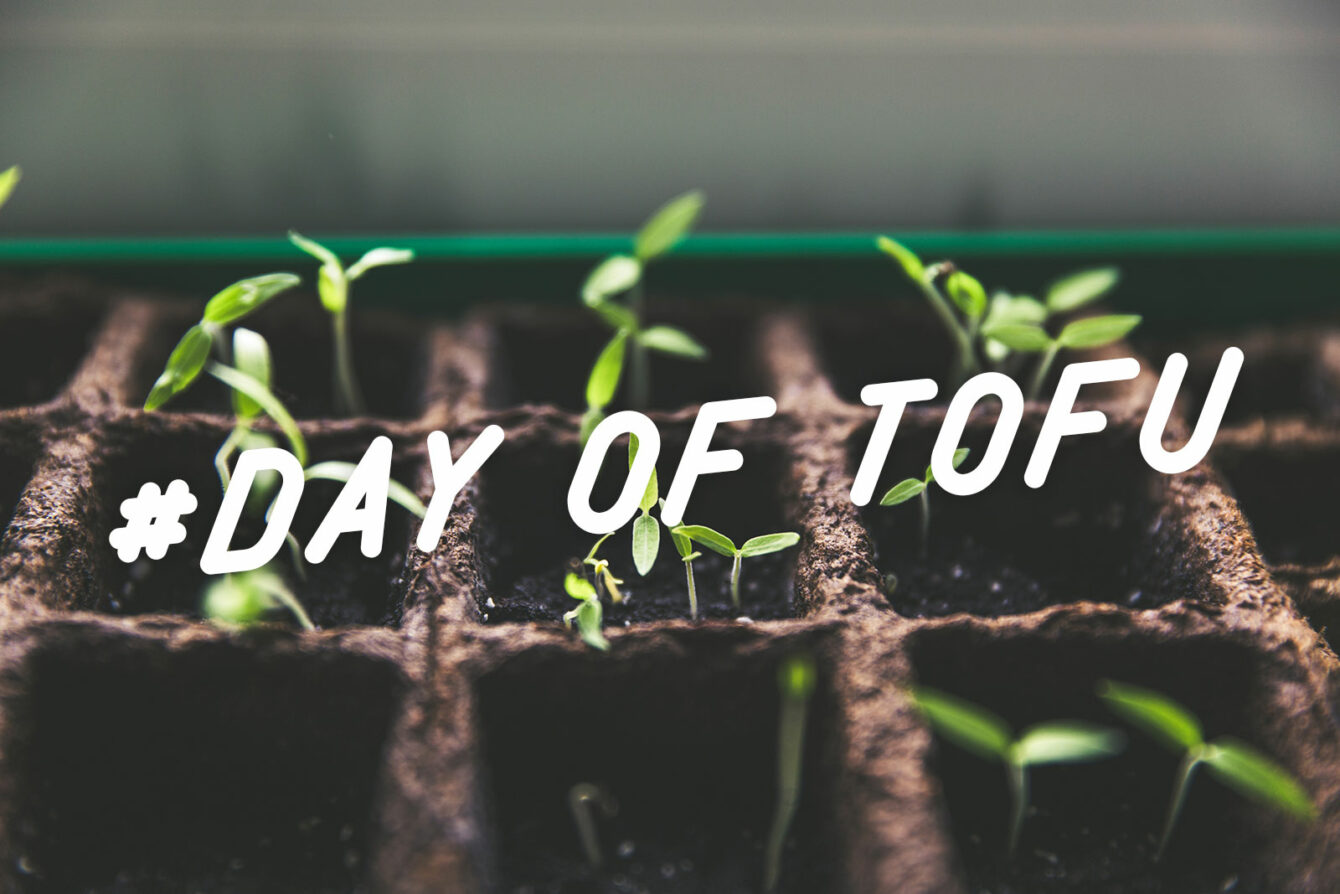 Wir haben Taifun Tofu in Freiburg besucht