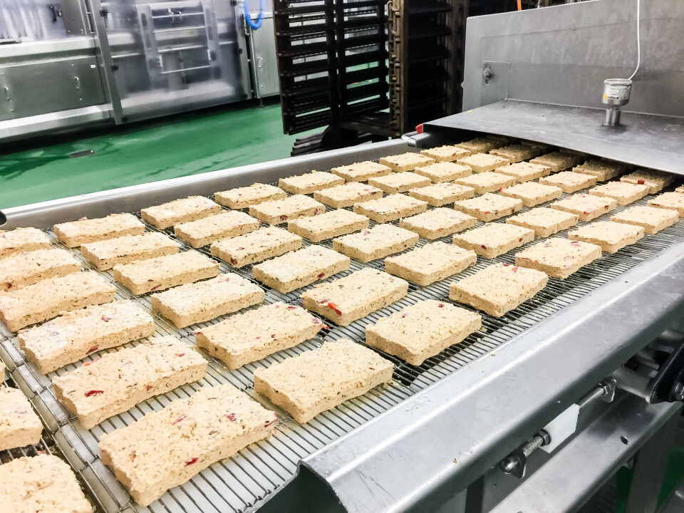 Wir haben Taifun Tofu in Freiburg besucht-19