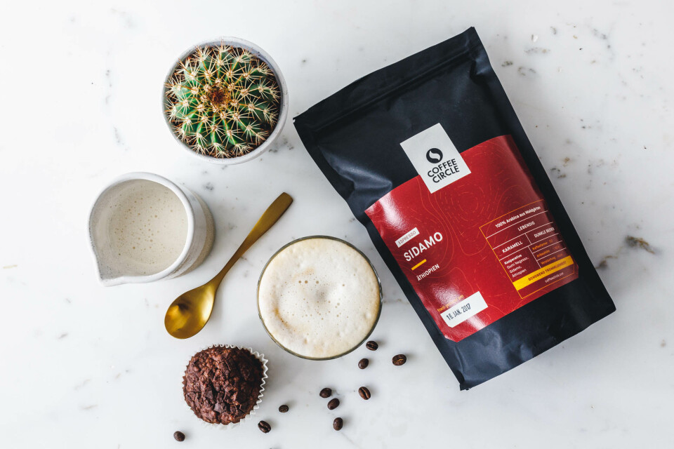 Genial einfacher veganer Milchschaum & Caffè Latte mit Coffee Circle