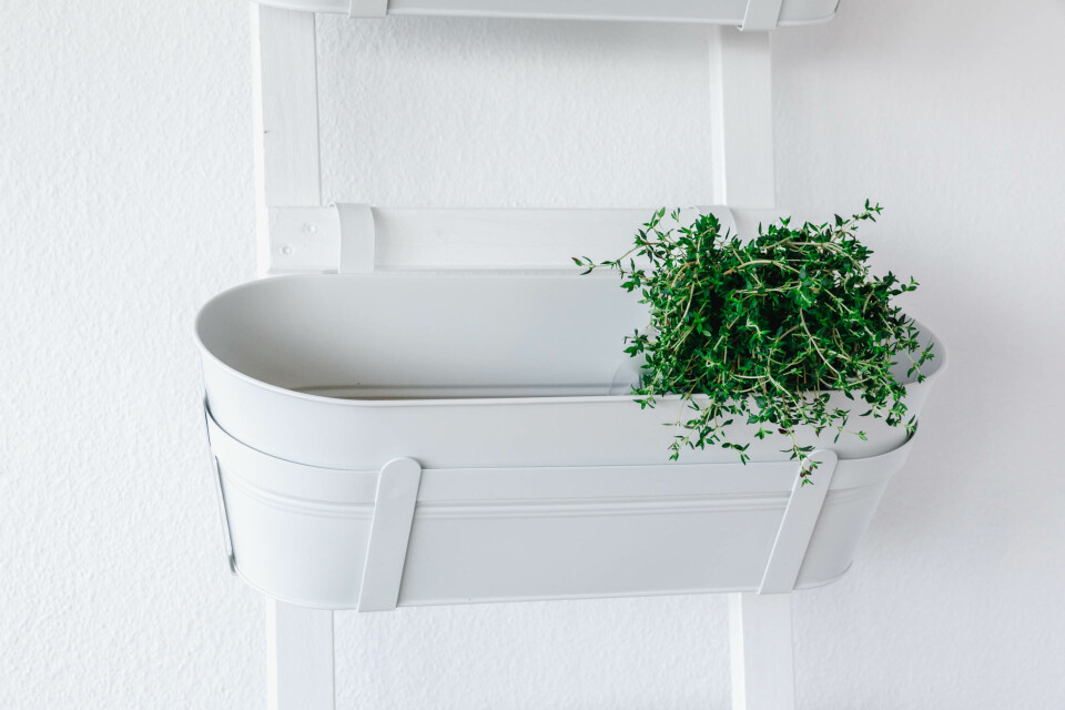 Fertige Pflanzleiter • Wie wir uns eine Pflanzleiter bauen