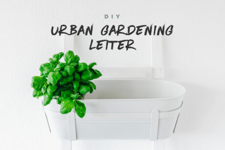 Wie wir uns eine Pflanzleiter bauen • Eat this!