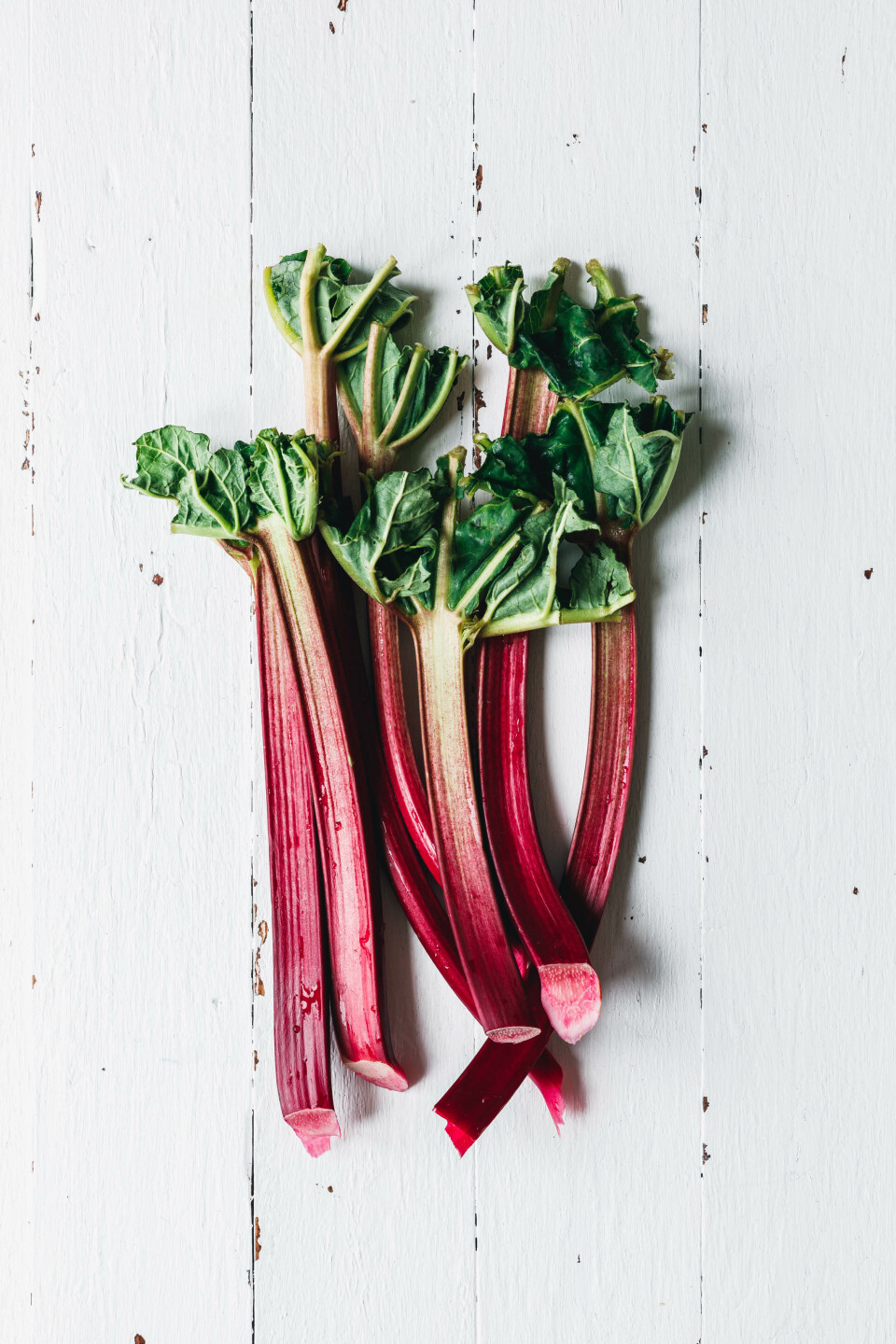 Veganer Rhabarber-Käsekuchen