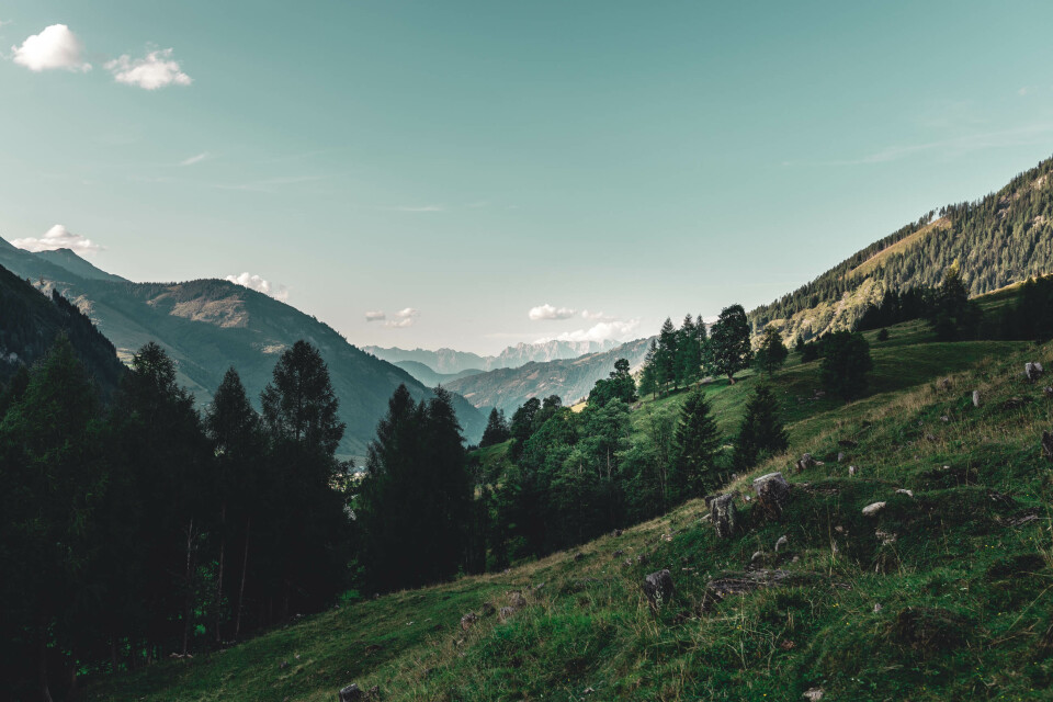 Mountain Kitchen Meetup No. 1