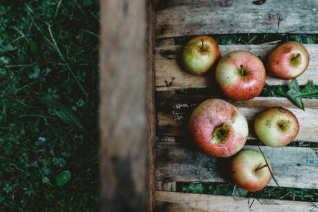 Apfelliebe – Regionale Äpfel vom Bodensee
