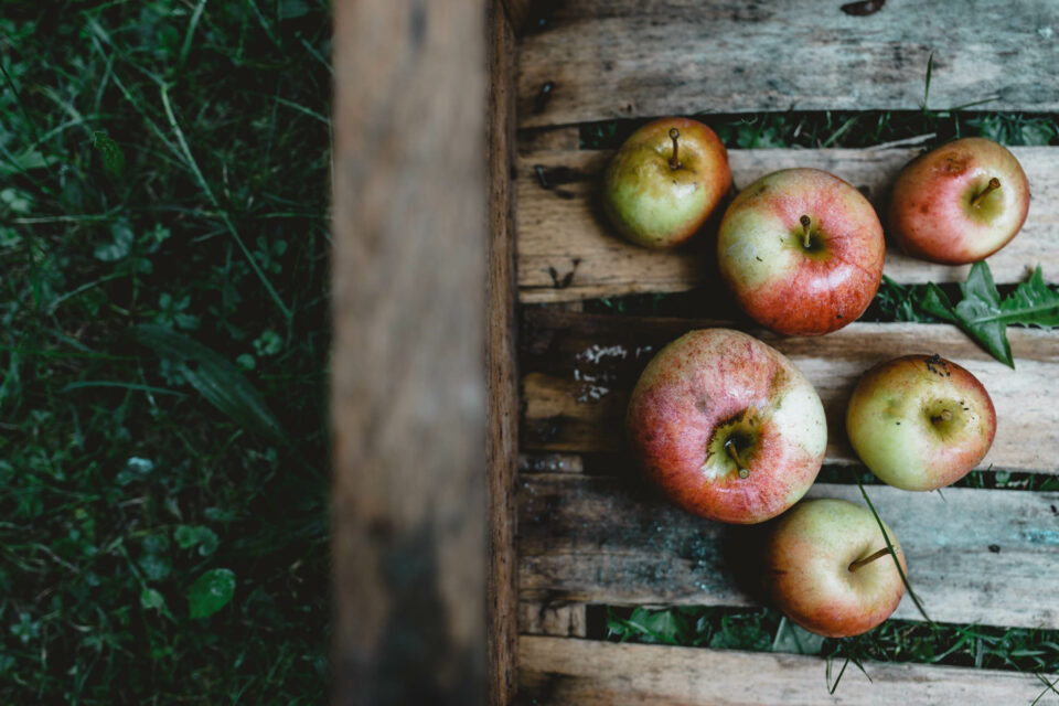 Apfelliebe – Regionale Äpfel vom Bodensee