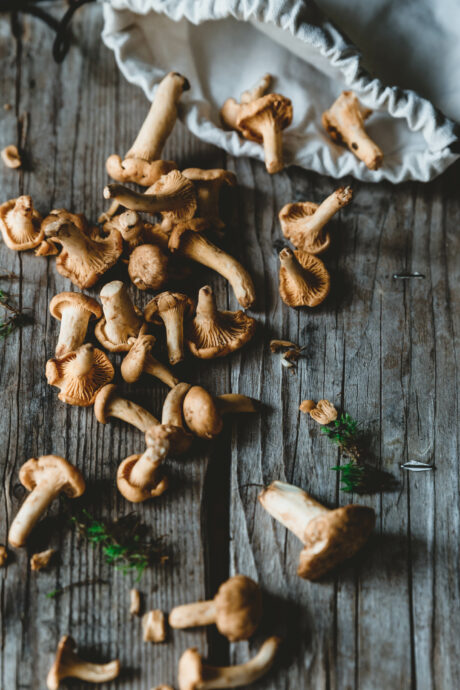 Herzhafte Sauerteigpancakes mit Pilzen