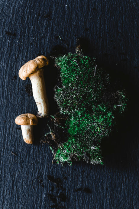 Herzhafte Sauerteigpancakes mit Pilzen