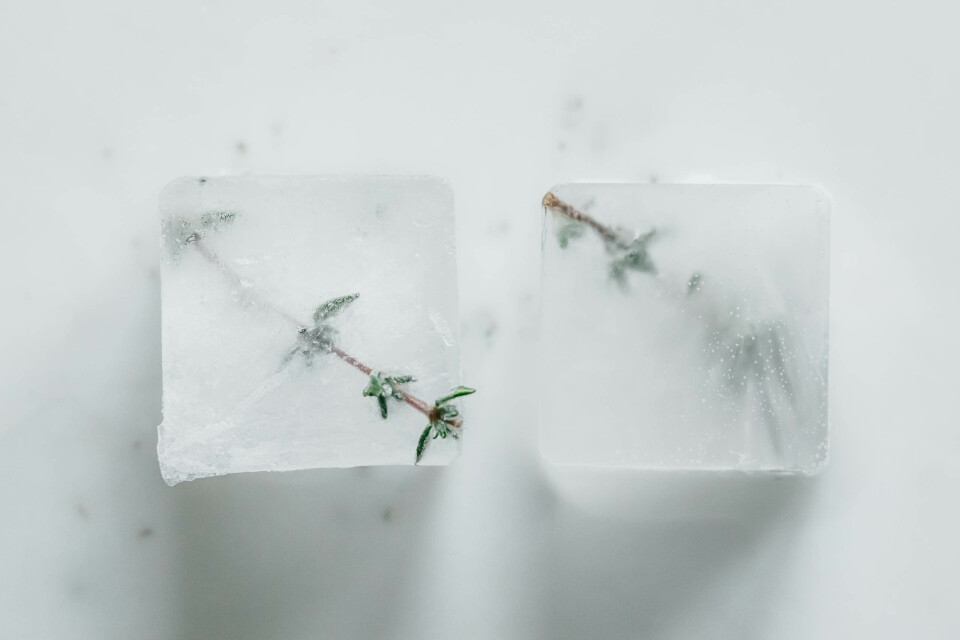 Soho Sling – Gin Cocktail mit Thymian