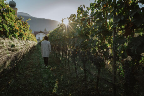 Hotel Schwarzschmied Lana