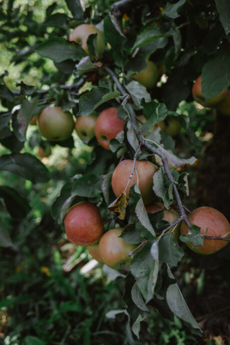 Auszeit in Südtirol – drei Tage & Nächte in Lana