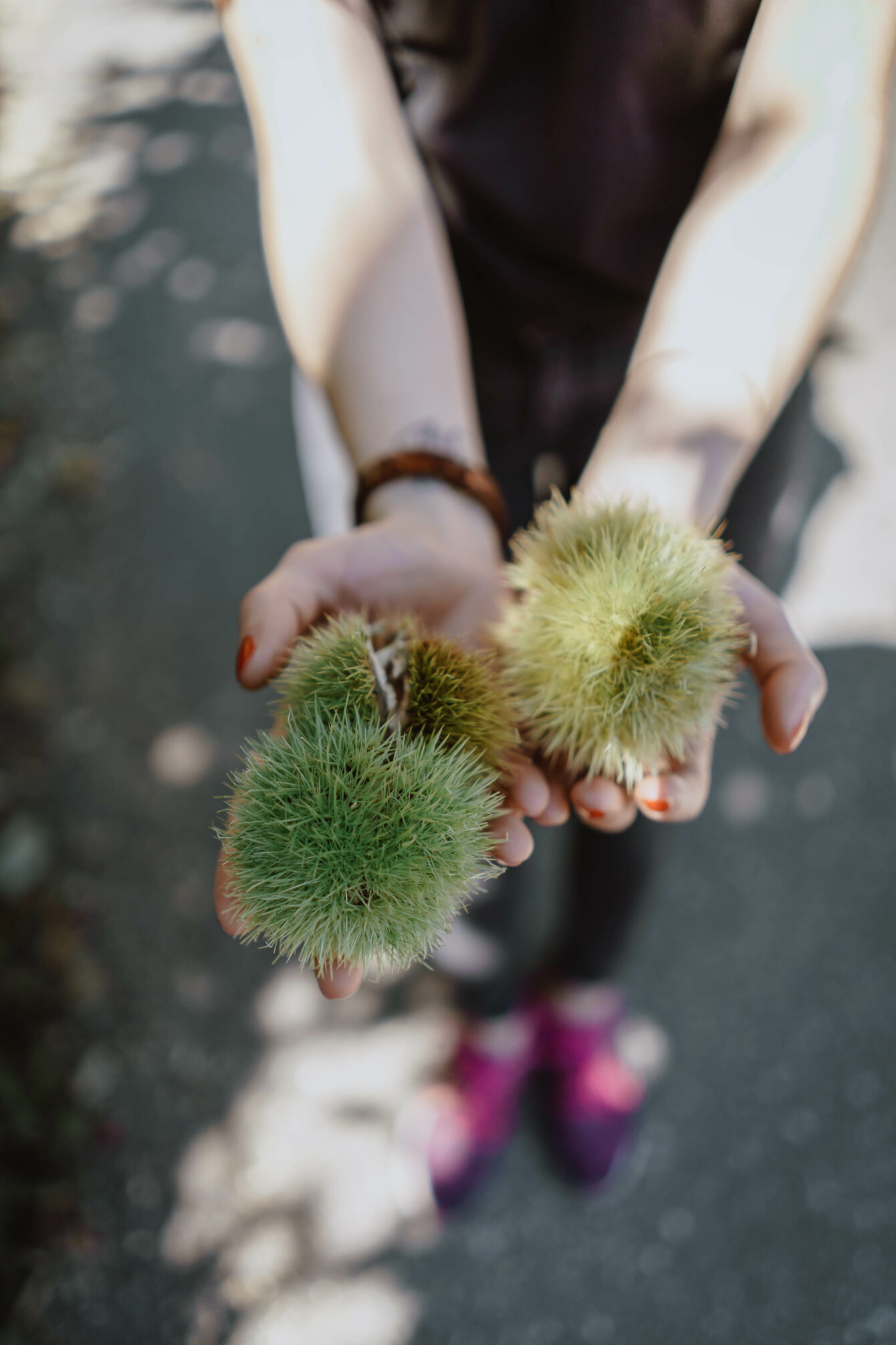 Auszeit in Südtirol – drei Tage & Nächte in Lana