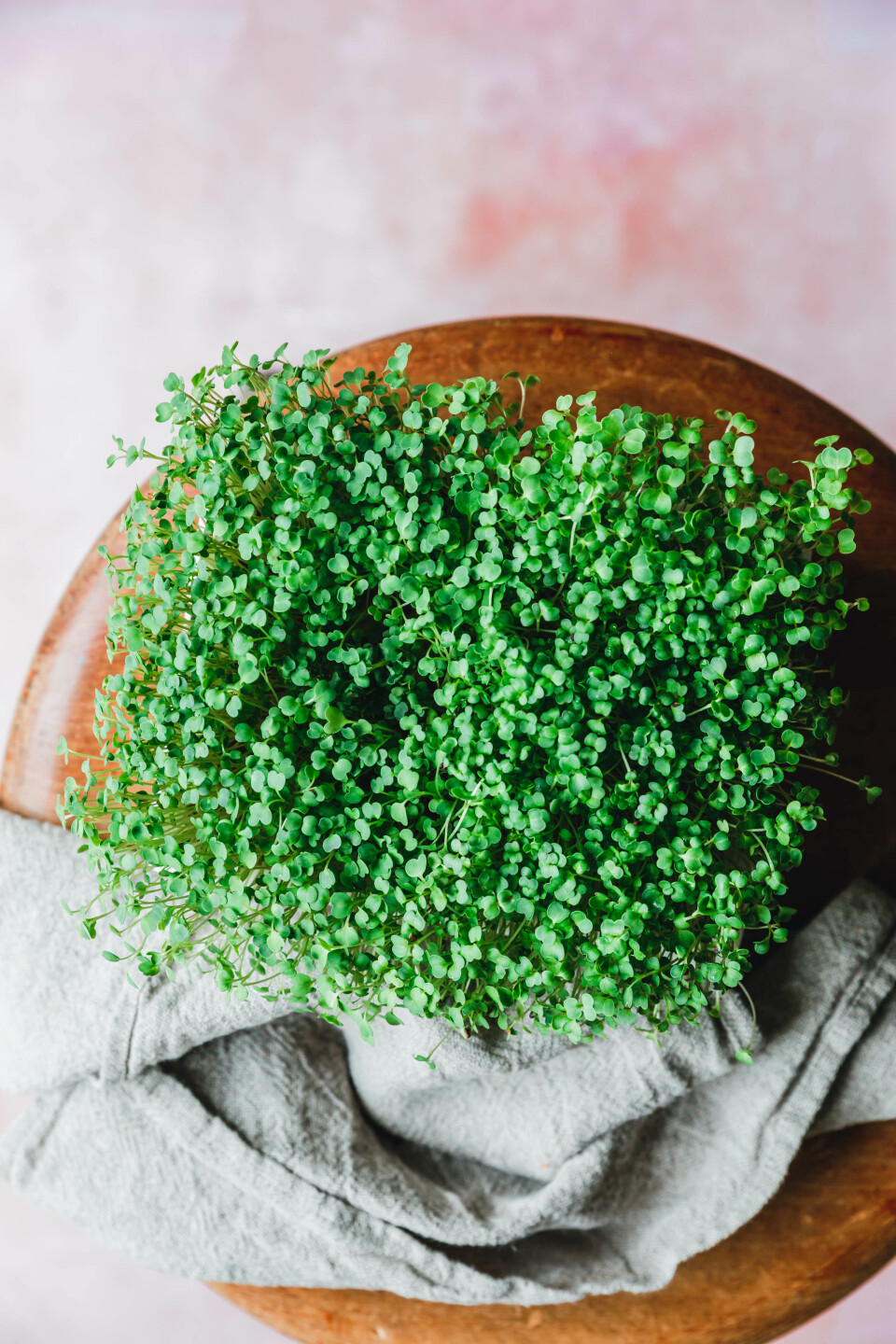 Heimgart Microgreens