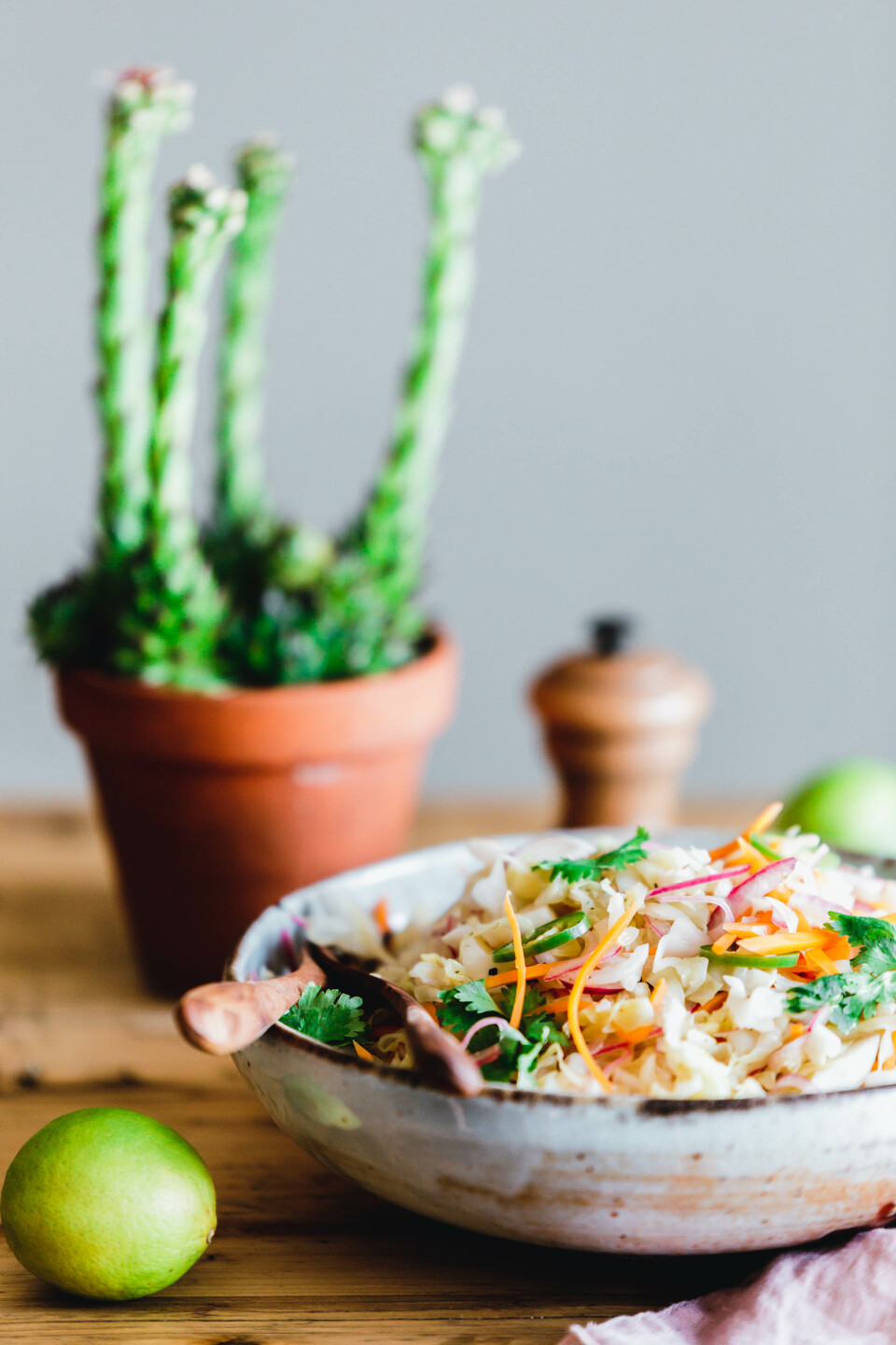 Curtido – leicht fermentierter Krautsalat aus El Salvador