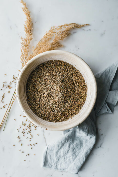 Vollkornbrot mit frisch gemahlenem Roggen & Weizen