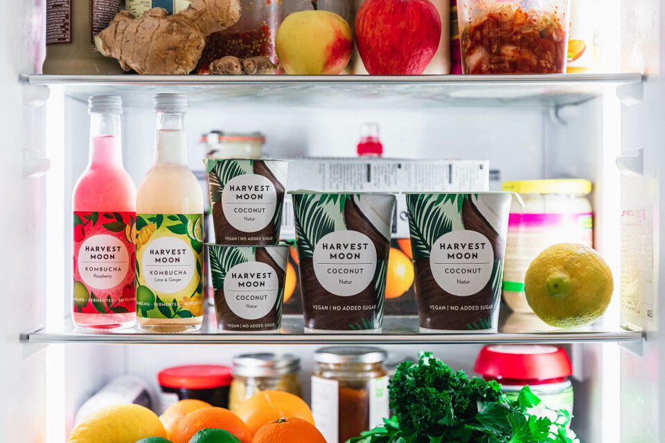 Harvest Moon Kokosmilchjoghurt