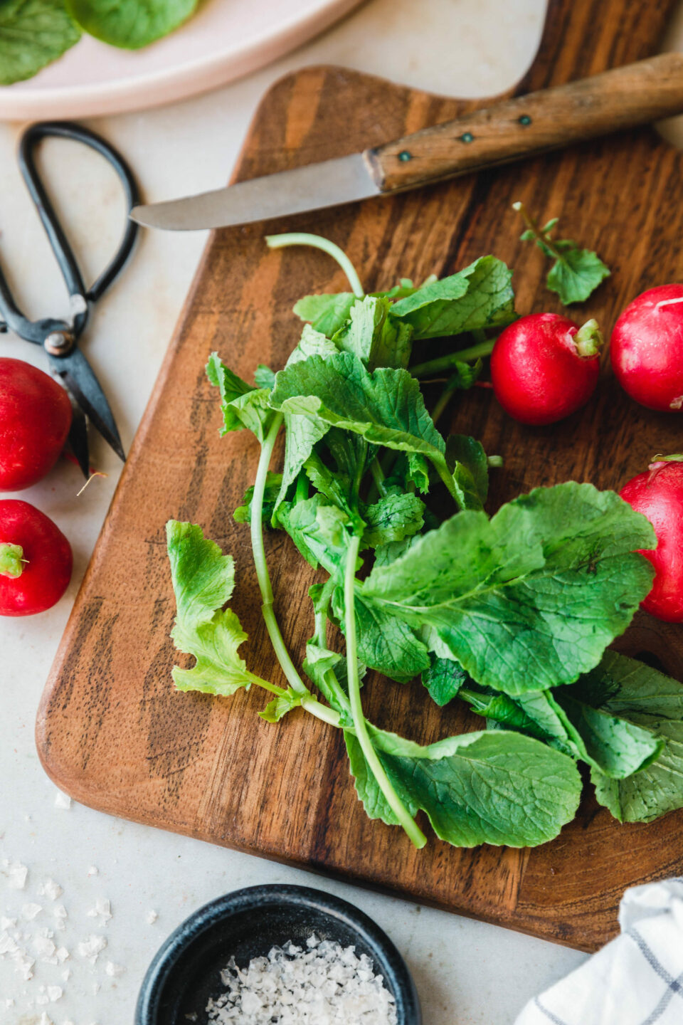 Eat this! Less Food Waste – Mottainai, nichts verschwenden, was wertvoll ist