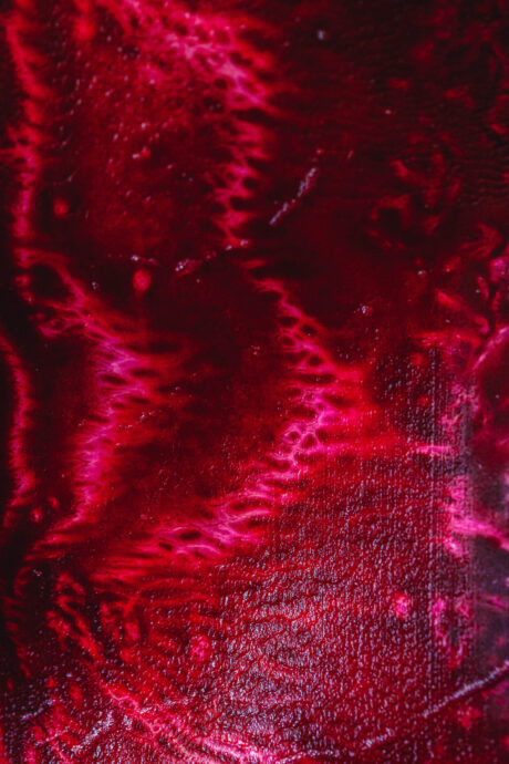 Rote Bete Gemüseblatt