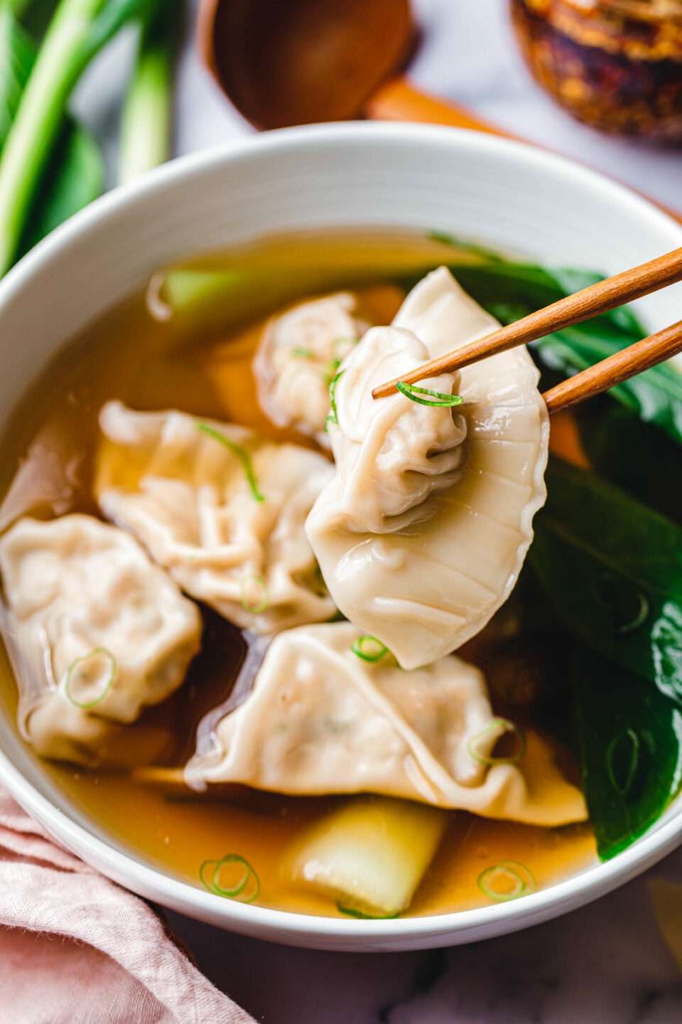 Einfache vegane Wan Tan Suppe