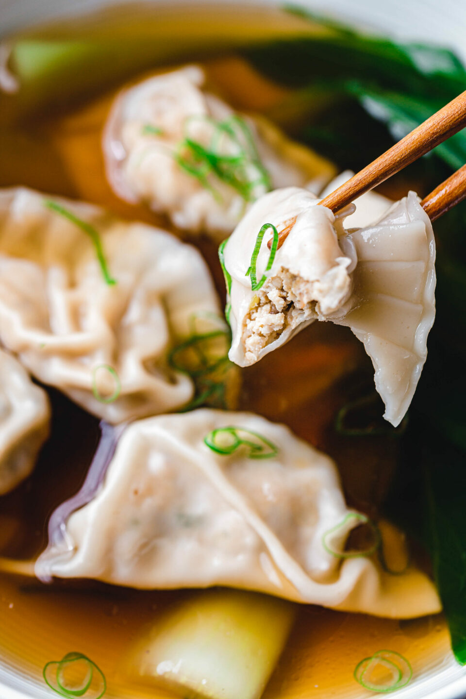 Einfache vegane Wan Tan Suppe