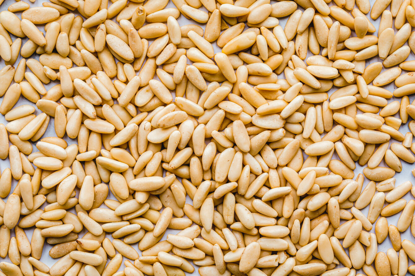 Bio-Pinienkerne von Pinienkern Kampagne