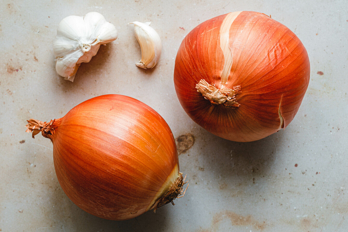 Gemüsezwiebeln