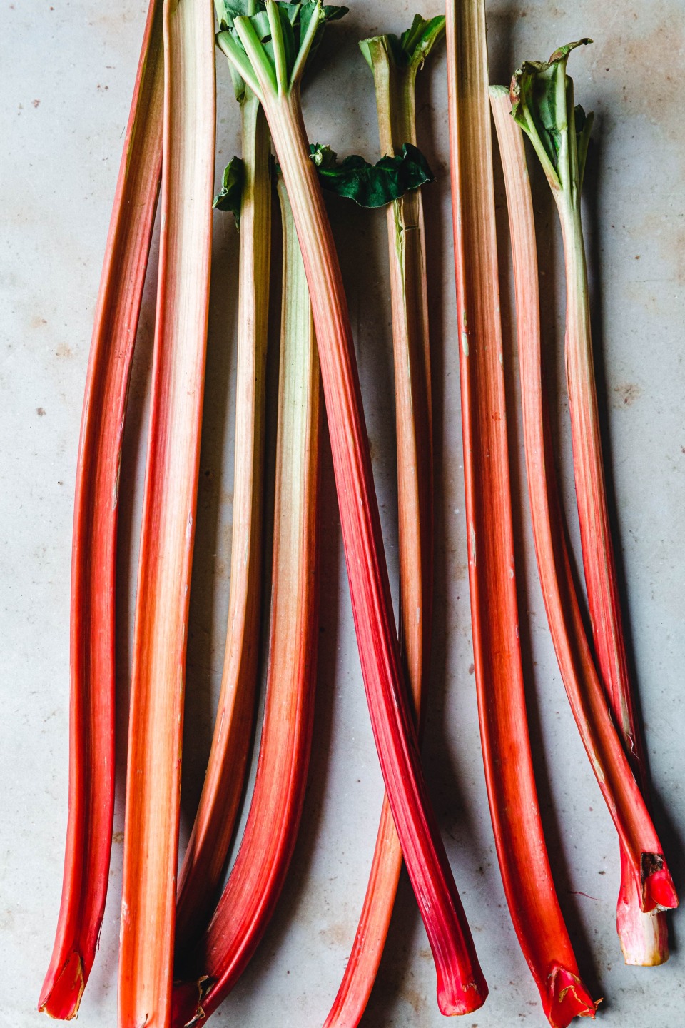 Rhabarber
