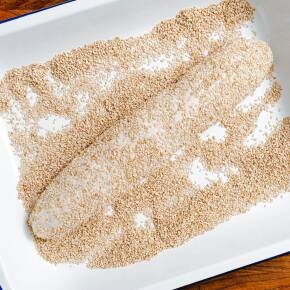 Vegane Hoagie Rolls - softes Sandwichbrot mit Sesam