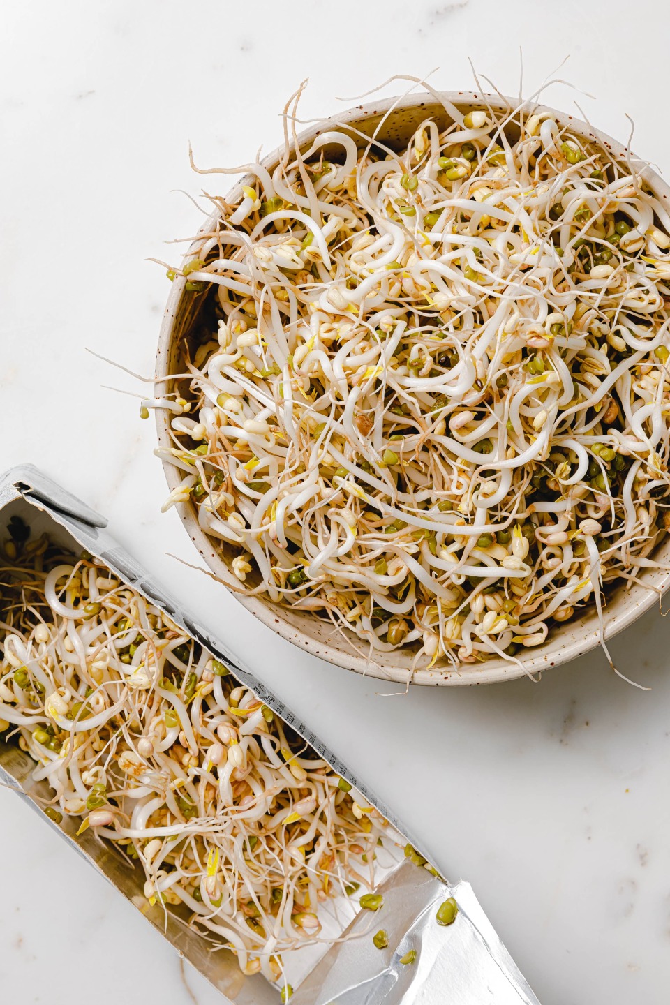 Mungobohnensprossen günstig selber ziehen – aus dem (Pflanzen-)Milchkarton