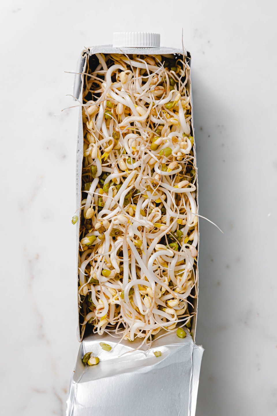 Mungobohnensprossen günstig selber ziehen – aus dem (Pflanzen-)Milchkarton