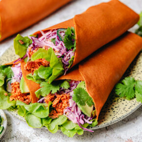 Wraps mit „shredded“ Barbecue-Tofu