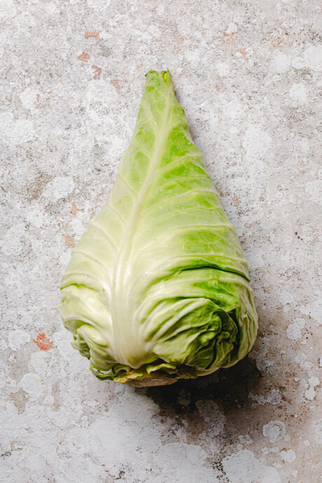 Spitzkohl