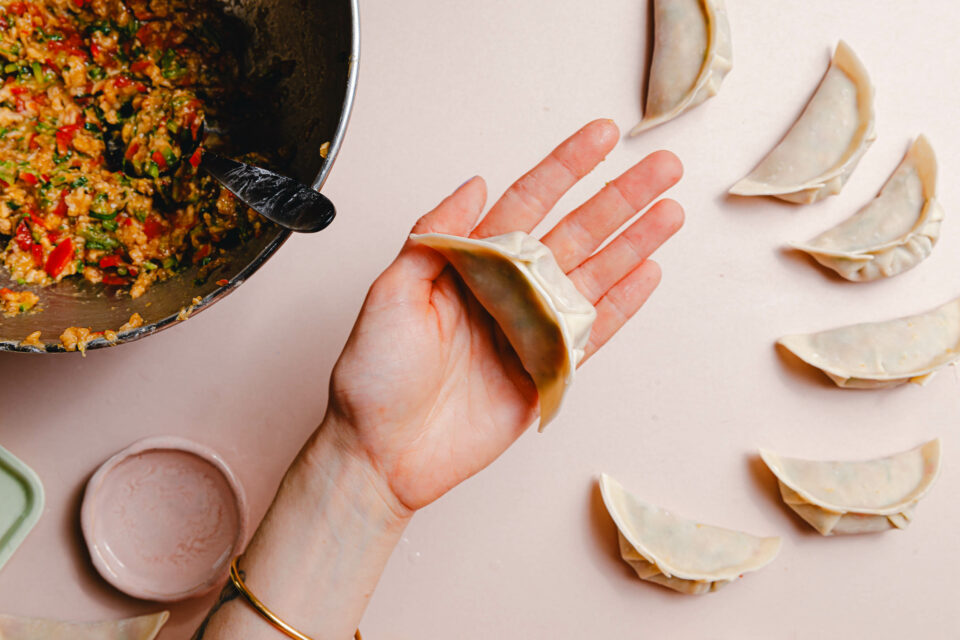 Faltanleitung für Dumplings