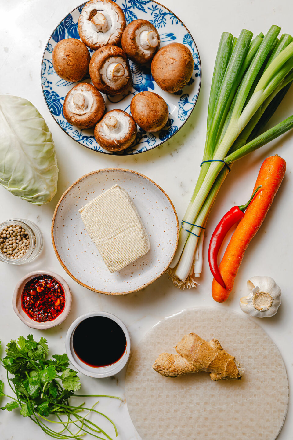 Zutaten für Reispapier-Dumplings