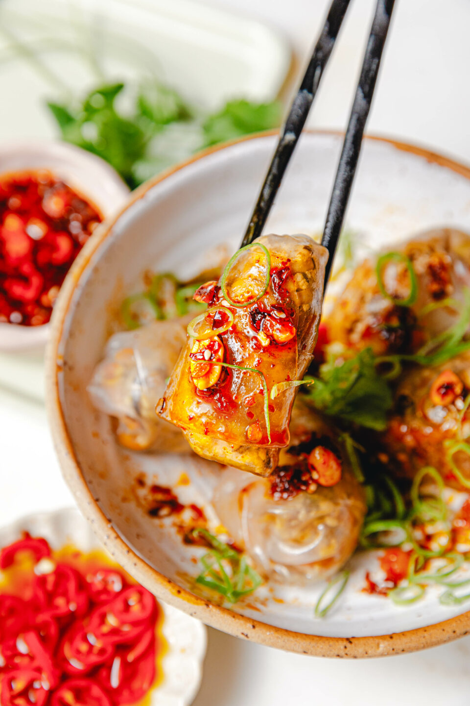 Gedämpfte Reispapier-Dumplings